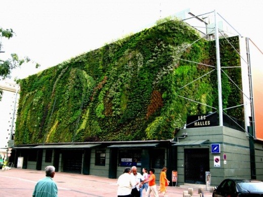 Свежие бизнес идеи – вертикальное озеленение в городе 