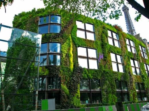 Свежие бизнес идеи – вертикальное озеленение в городе 