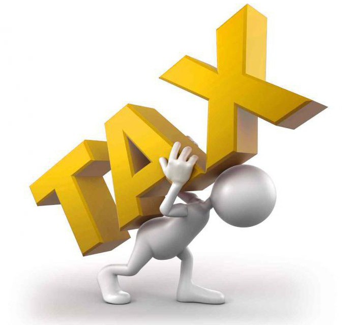 учет налогов в налоговых органах 