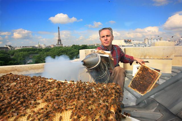 начало пчеловодства