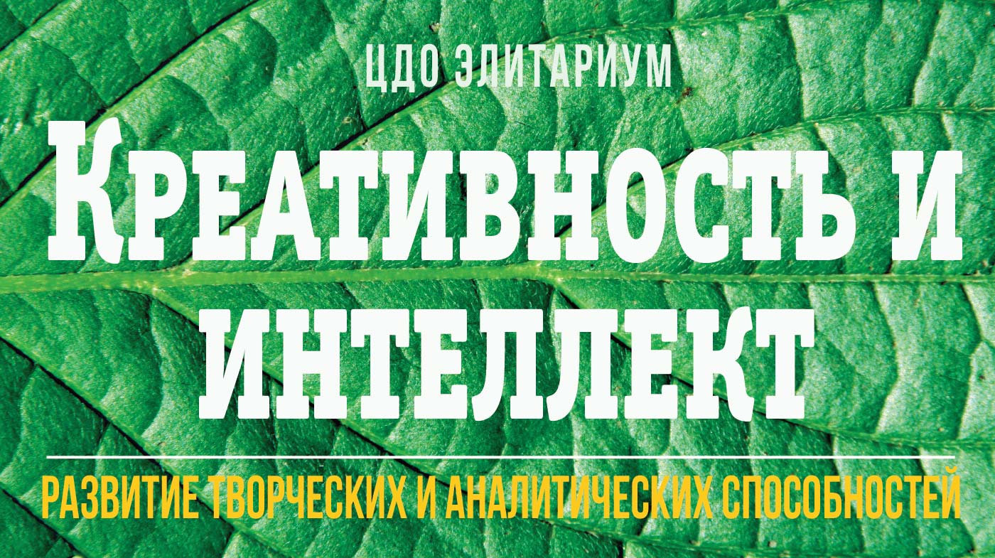 Креативность и интеллект: развитие творческих и аналитических способностей: практический интерактивный мультимедийный дистанционный курс