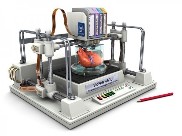 Bioprinter Holdout