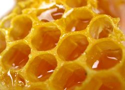 Медовый бизнес, или какие перспективы у пчеловодства как бизнеса