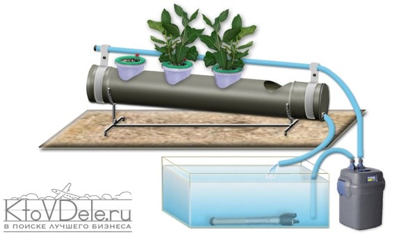 Гидропоника Гидропоника