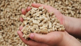 самый прибыльный бизнес в сельском хозяйстве