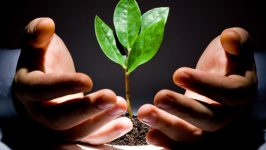 примеры малого бизнеса с небольшими вложениями