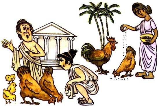 Курица и человек в Древней Греции. 