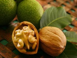 Как вырастить грецкий орех из семян в виде ореха