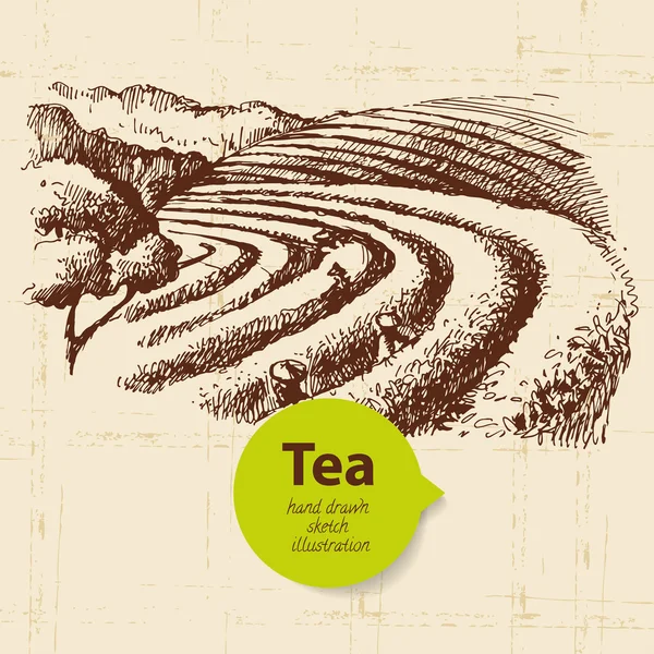 Чай фоне старинных — стоковый вектор